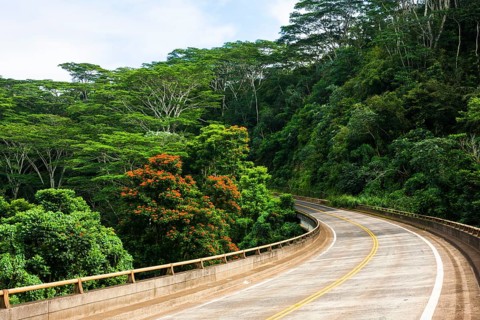 Road from Kilauea to Princeville