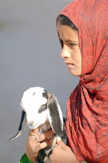 A young Bedouin girl with goat