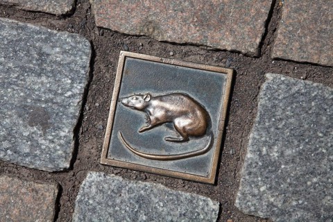 Cobblestone with a rat