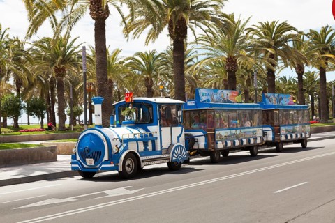Tourist train in front of palm trees
