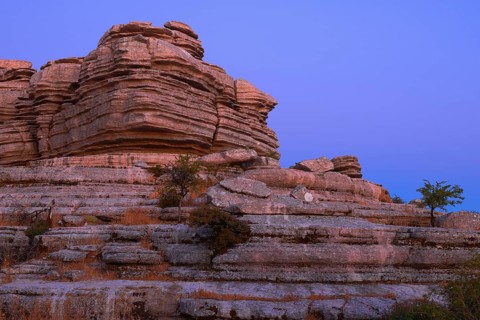 Limestone rocks