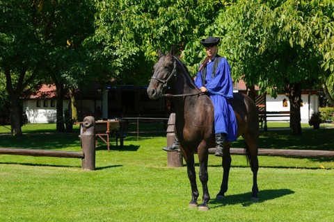 Csikos on horseback