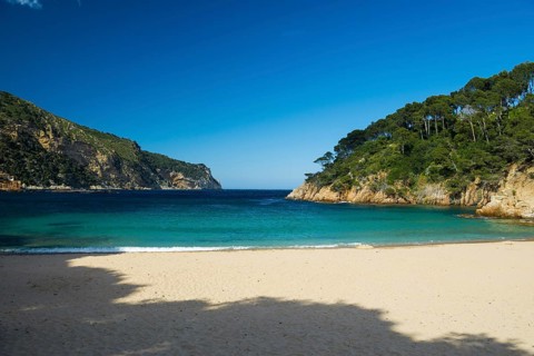 Cala Aiguafreda