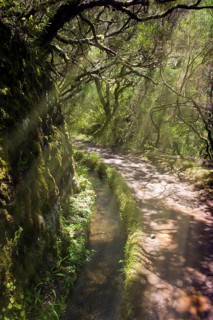 Levada das 25 Fontes