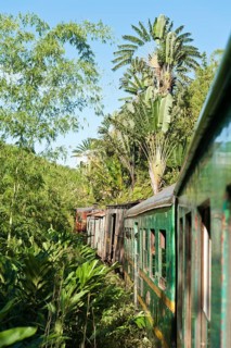 Vintage train traveling through jungle