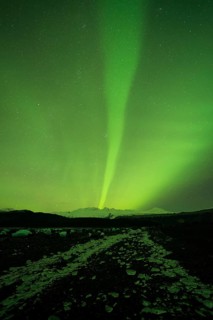 Aurora borealis over College Fjord