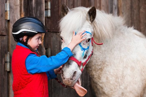 Girl wearing a riding helmet painting a pony with finger paints