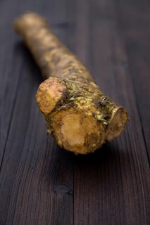 Horseradish