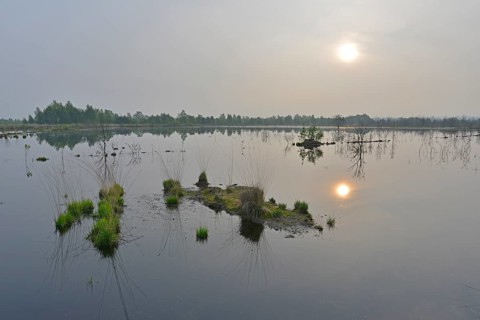Sunrise in the Hahnenmoor nature reserve