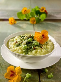 Pesto Risotto with nasturtium flowers