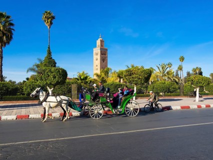 Horse-drawn carriage in front of the Koutoubia Mosque