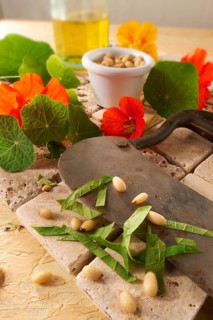 Fresh Nasturtium (Tropaeolum)