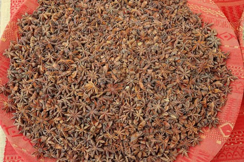 Star Anise (Illicium verum)