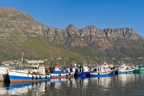 Fish trawlers in the harbor of Hout Bay
