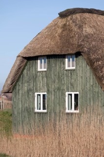 Thatched Frisian house