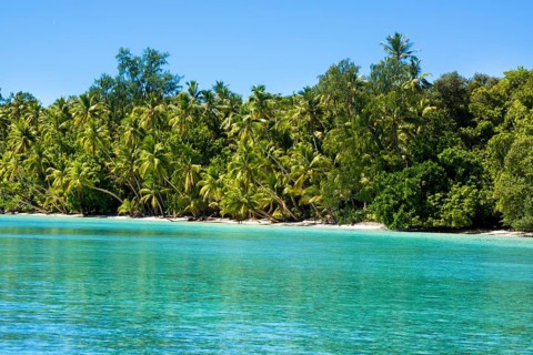 Lagoon with a sandy beach and palm trees