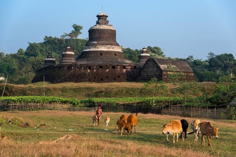 Young herdsman with cattle in front of Htukkanthein