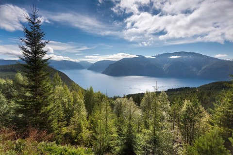 Sognefjord near Kaupanger