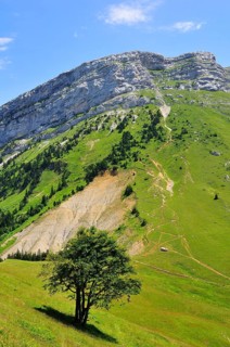 View from the mountain pass Col des Ayes on the Dent de Crolles mountain