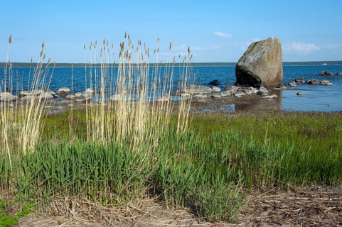 Coast near Kasmu