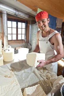 Dairyman cutting the finished cottage cheese into pieces