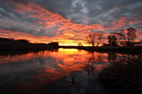 Sunrise over the Leiner See lake in the Middle Elbe Biosphere Reserve
