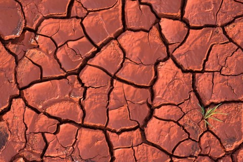 Cracked earth