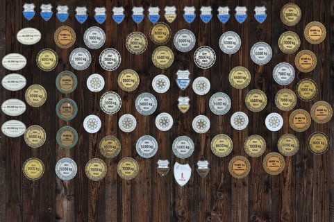Award plaques for special milk production yields on a stable door