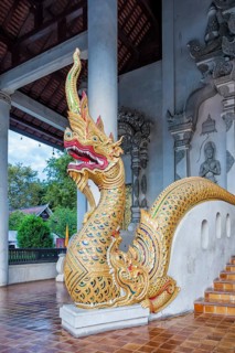Naga