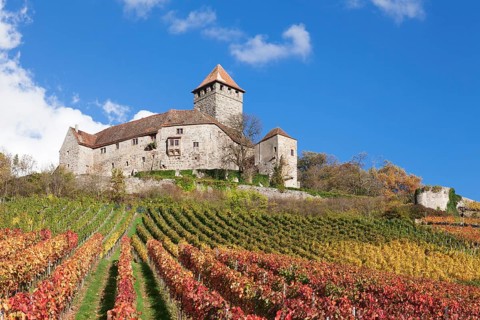 Lichtenberg Castle