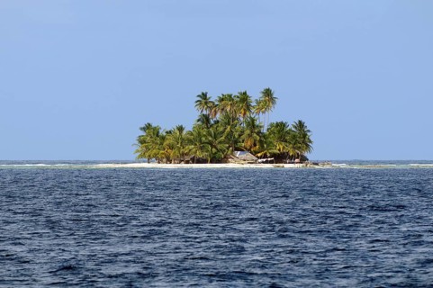 Lonely island with palm trees
