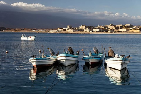 Fishing boats