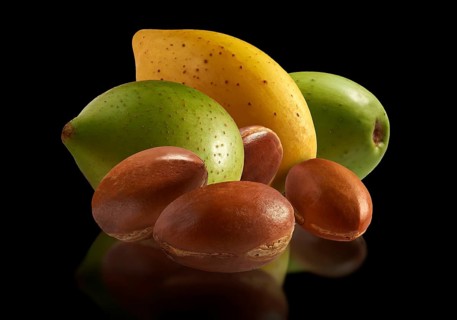 Fresh Argan nuts (Argania spinosa)