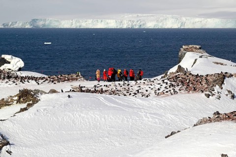 Tourists watching a penguin colony