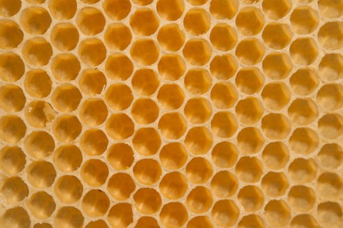 Honey combs