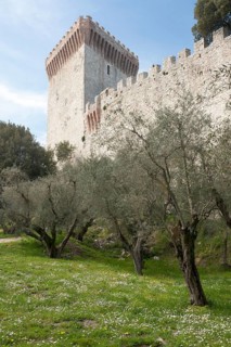 Fortress wall and tower