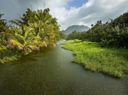 Stream with rain and sun