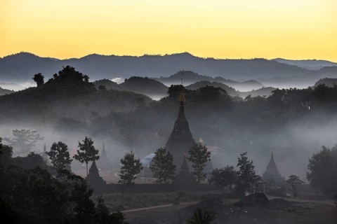 Pagodas surrounded by trees