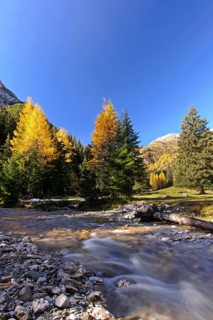Mountain stream
