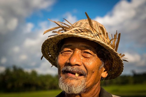 Elderly rice farmer wearing a straw hat