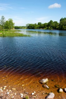 Emajogi River