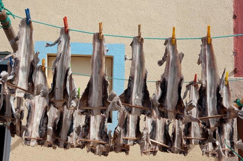Cod fish drying