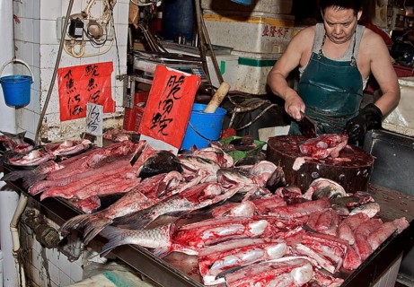 Fish stall at the Red Market