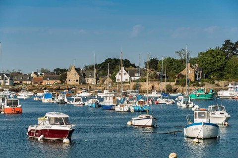 Harbour