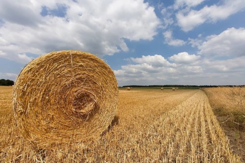 Straw bales in a stubble field in front of a cloudy sky