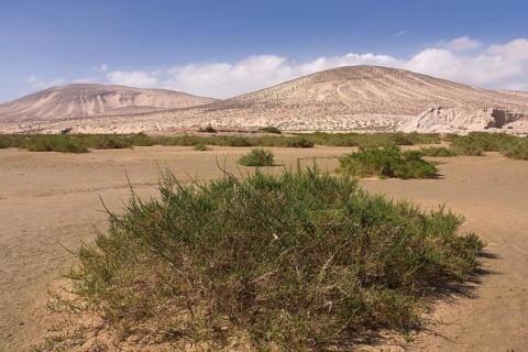Beach of Morro Jable