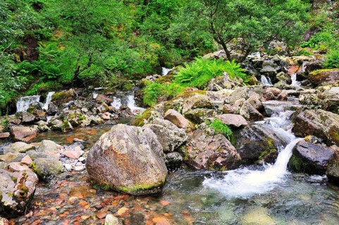 Mountain stream in the Three Sisters