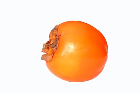 Japanese Persimmon