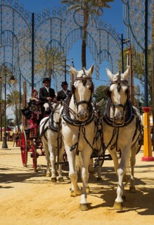 Decorated horses and dressed up coachmen at the Feria del Caballo Horse Fair