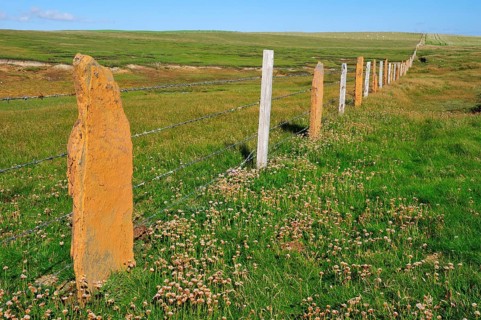 Typical fence with stone slabs